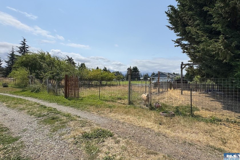 Country Living with Endless Potential on 2.47 Fertile Acres - photo 44