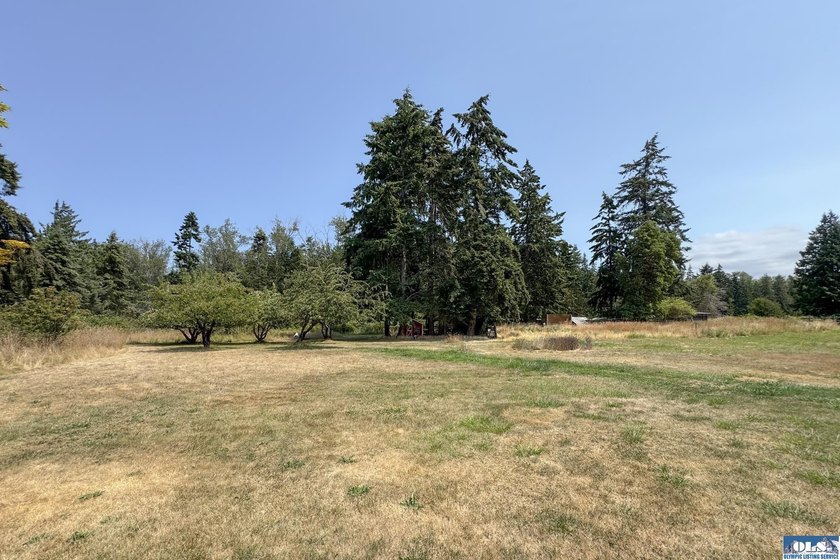 Country Living with Endless Potential on 2.47 Fertile Acres - photo 45