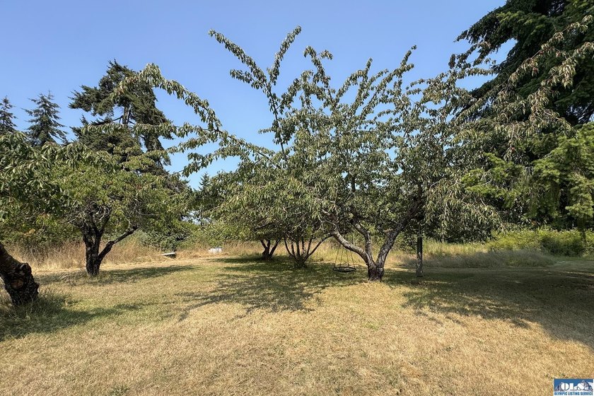 Country Living with Endless Potential on 2.47 Fertile Acres - photo 46