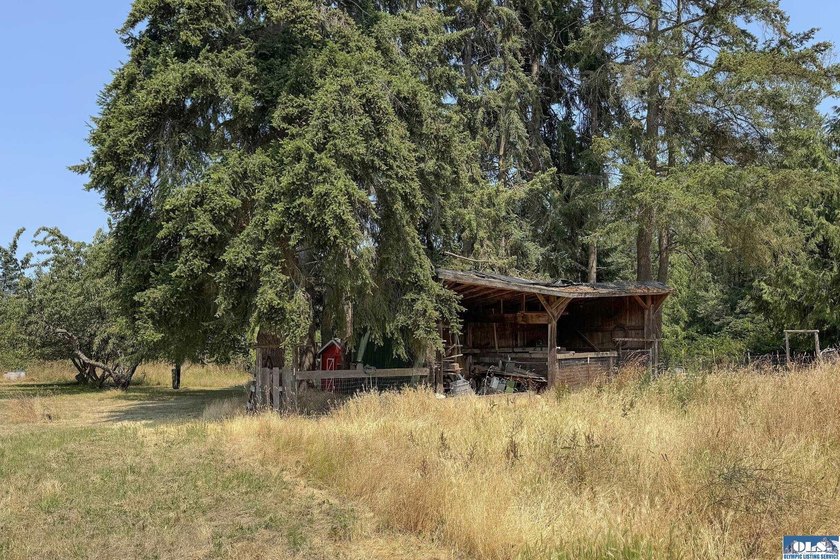 Country Living with Endless Potential on 2.47 Fertile Acres - photo 49