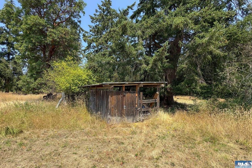 Country Living with Endless Potential on 2.47 Fertile Acres - photo 50