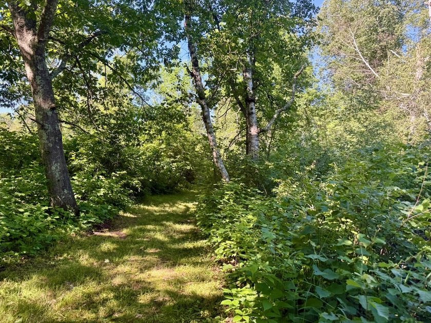 This exceptional property, situated east of Hinckley and south - photo 8