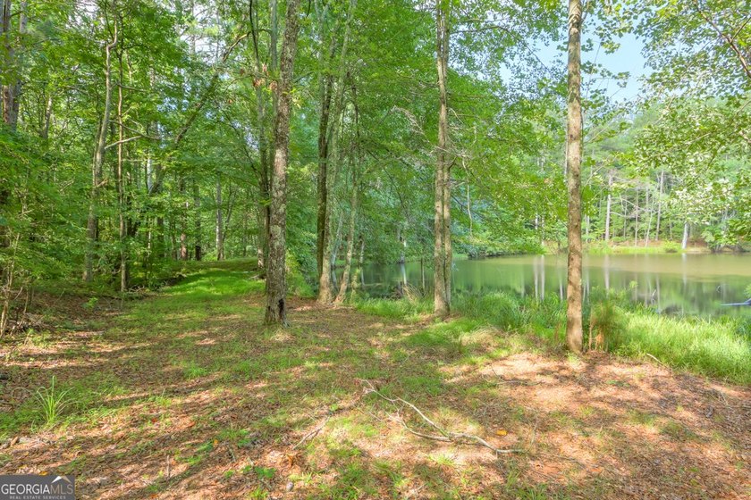 Zoned R-2, the property allows for one home per half-acre and - photo 16
