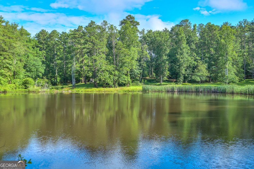 Zoned R-2, the property allows for one home per half-acre and - photo 18
