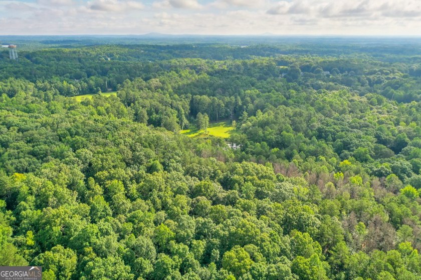 Zoned R-2, the property allows for one home per half-acre and - photo 21