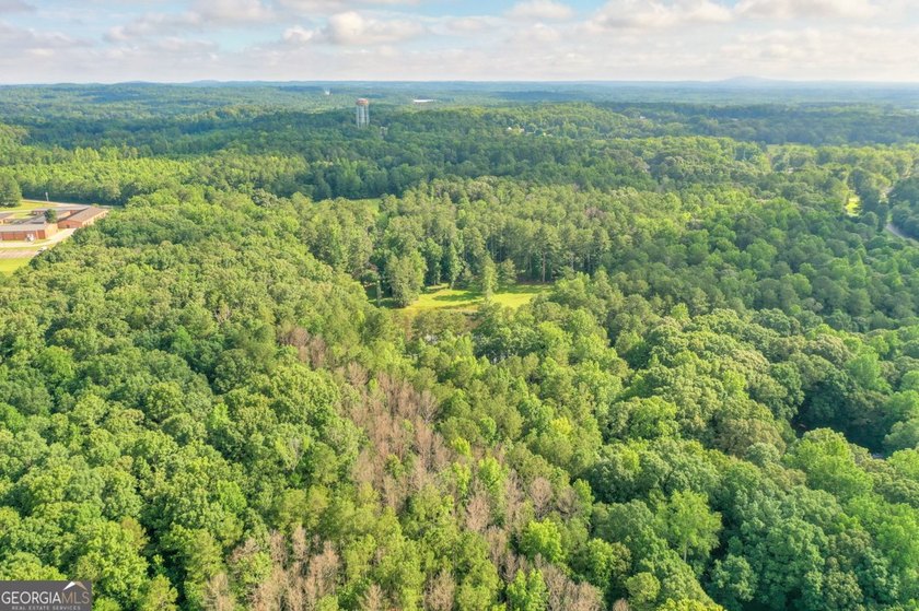 Zoned R-2, the property allows for one home per half-acre and - photo 22