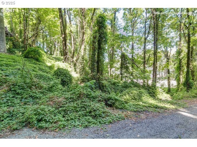 Discover a rare opportunity to own a unique piece of land on NW - photo 8