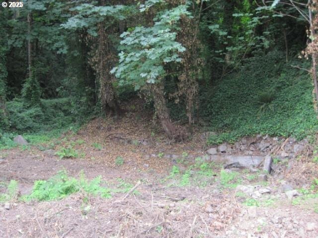 Discover a rare opportunity to own a unique piece of land on NW - photo 9