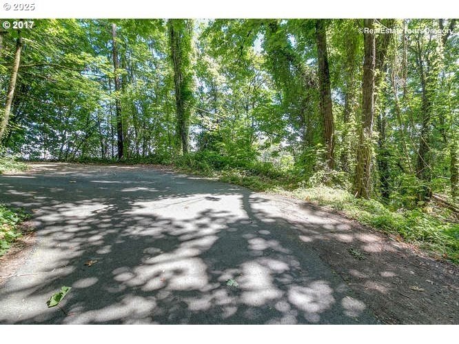 Discover a rare opportunity to own a unique piece of land on NW - photo 10