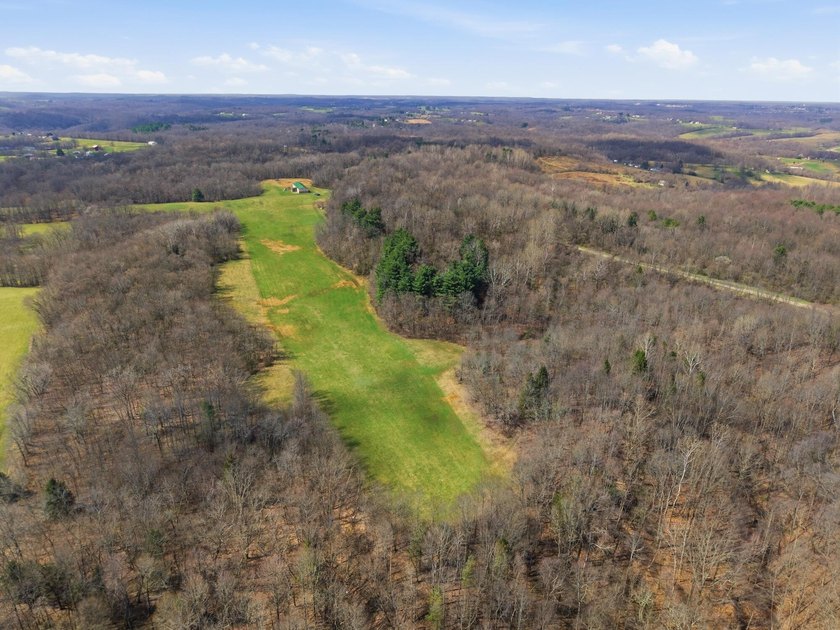Prime Development Opportunity: 107+ Acre Private Airpark &amp; - photo 3