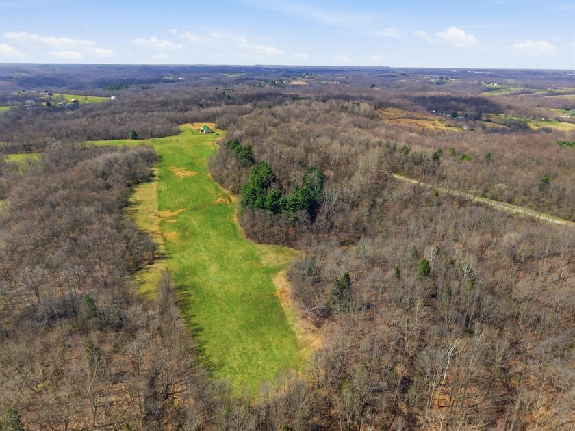 Prime Development Opportunity: 107+ Acre Private Airpark &amp; - photo 4