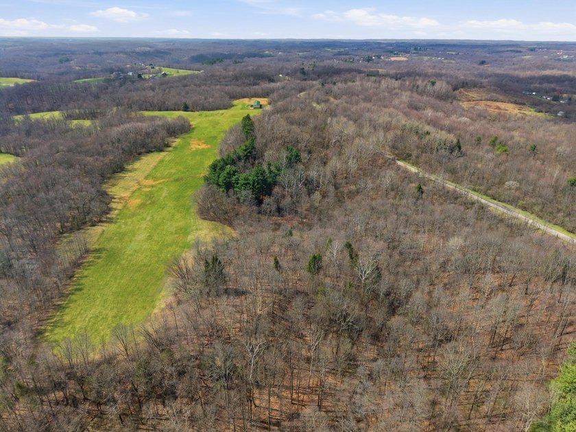 Prime Development Opportunity: 107+ Acre Private Airpark &amp; - photo 5