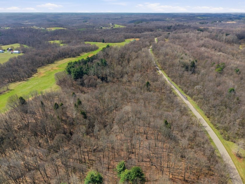 Prime Development Opportunity: 107+ Acre Private Airpark &amp; - photo 6
