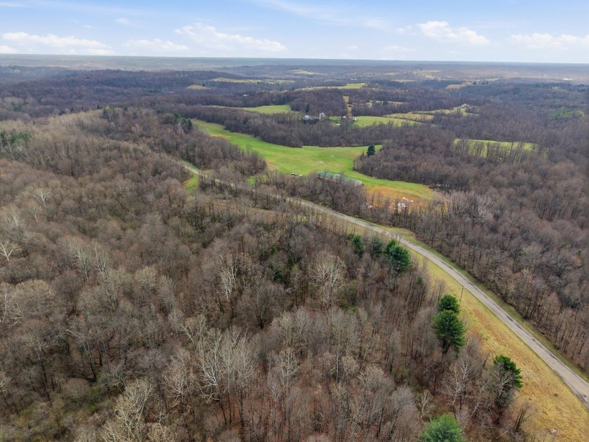 Prime Development Opportunity: 107+ Acre Private Airpark &amp; - photo 10