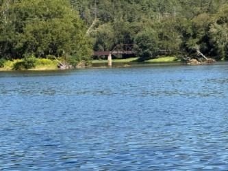 Rare 18.96-Acre Unrestricted Property Overlooking the New River - photo 14
