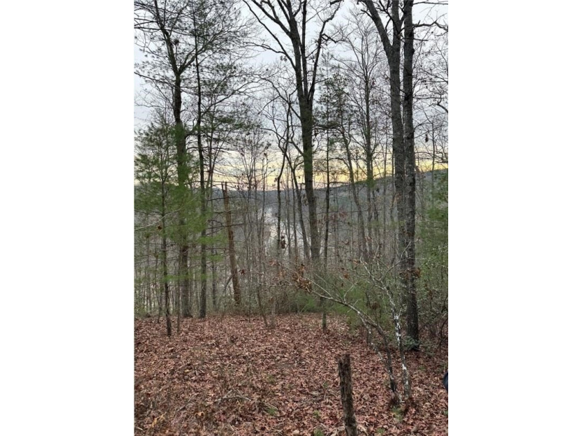 Rare 18.96-Acre Unrestricted Property Overlooking the New River - photo 20