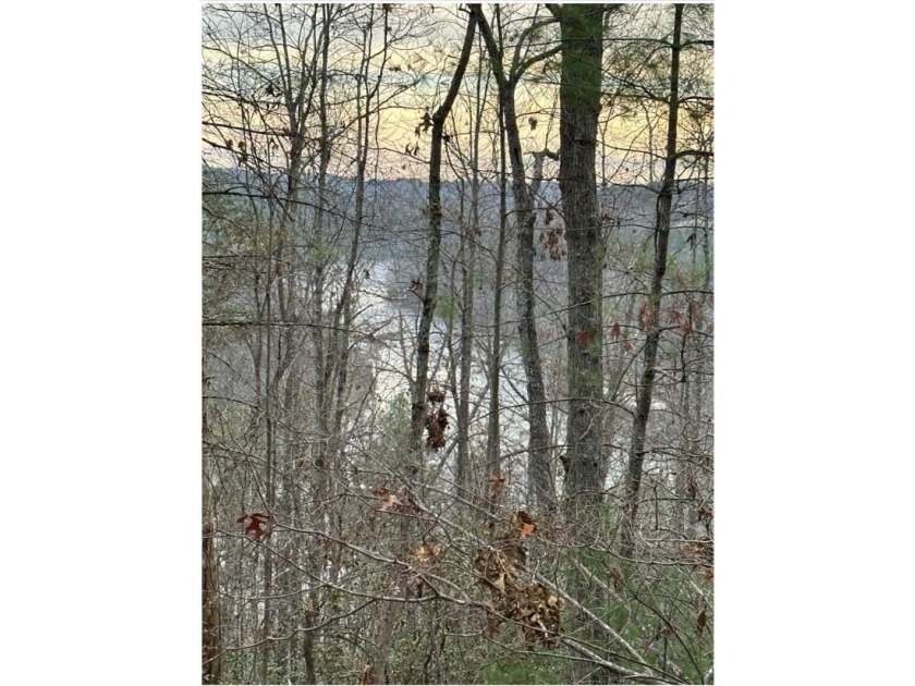 Rare 18.96-Acre Unrestricted Property Overlooking the New River - photo 22