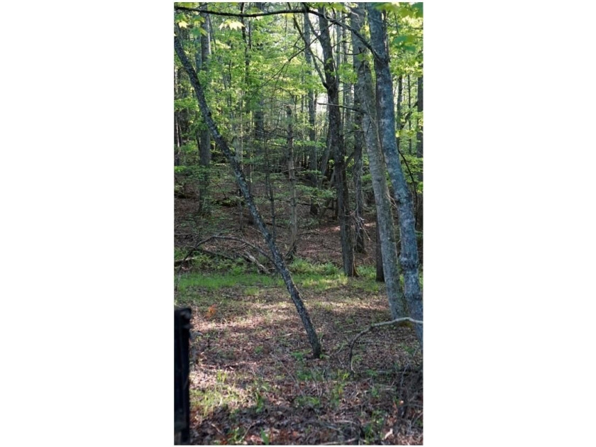 Rare 18.96-Acre Unrestricted Property Overlooking the New River - photo 26