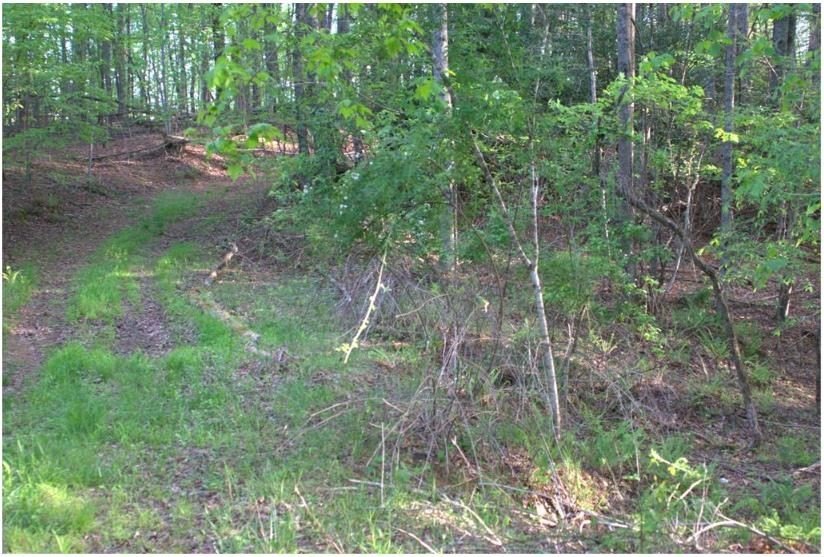 Rare 18.96-Acre Unrestricted Property Overlooking the New River - photo 27
