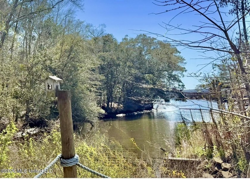 Gorgeous large home with access to the Pascagoula River with - photo 13