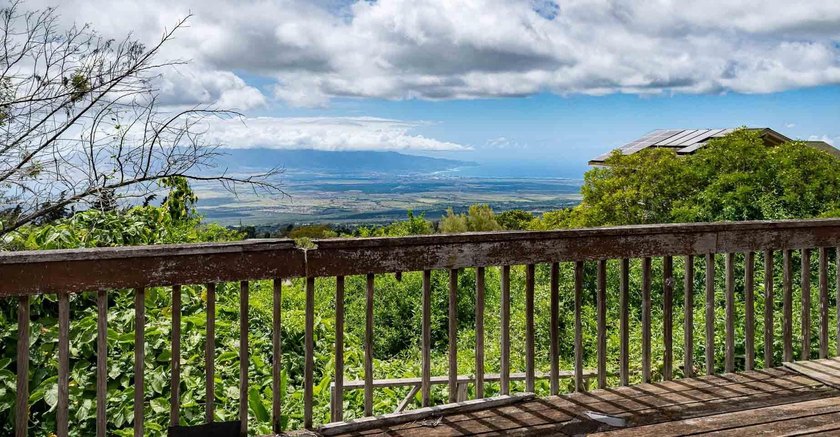 20 Kuulani Pl, Kula offers two beautiful wooded acres in the - photo 2