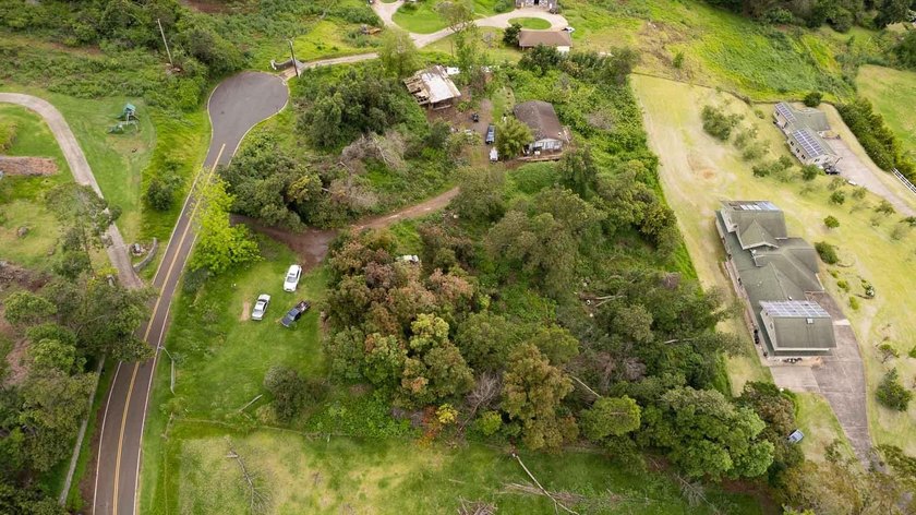 20 Kuulani Pl, Kula offers two beautiful wooded acres in the - photo 4
