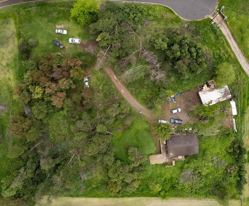 20 Kuulani Pl, Kula offers two beautiful wooded acres in the - photo 5