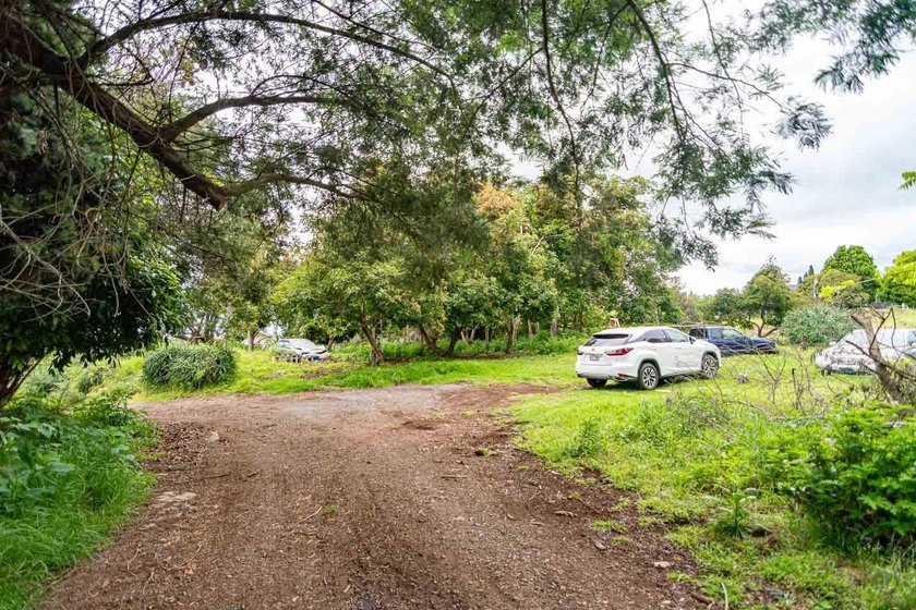 20 Kuulani Pl, Kula offers two beautiful wooded acres in the - photo 7