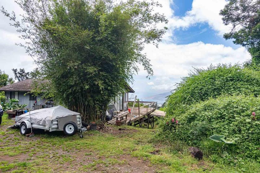 20 Kuulani Pl, Kula offers two beautiful wooded acres in the - photo 10