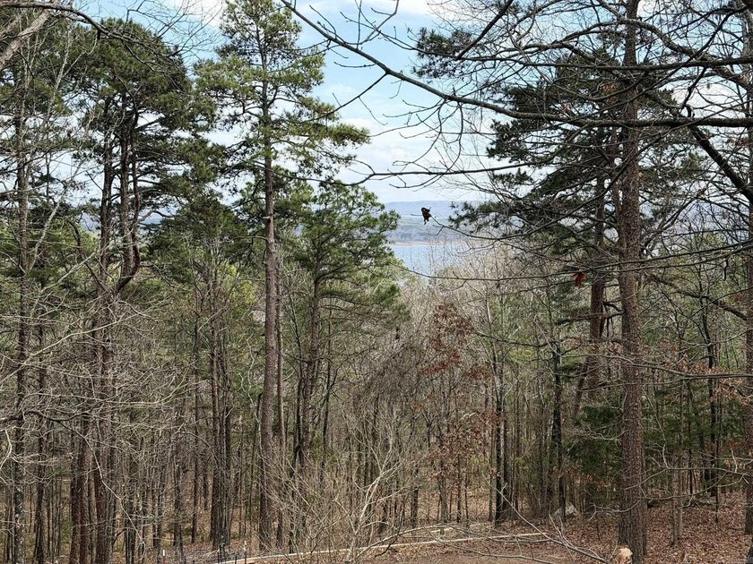 Lake-view home with so much to offer. This 3-bedroom, 2 bath - photo 3