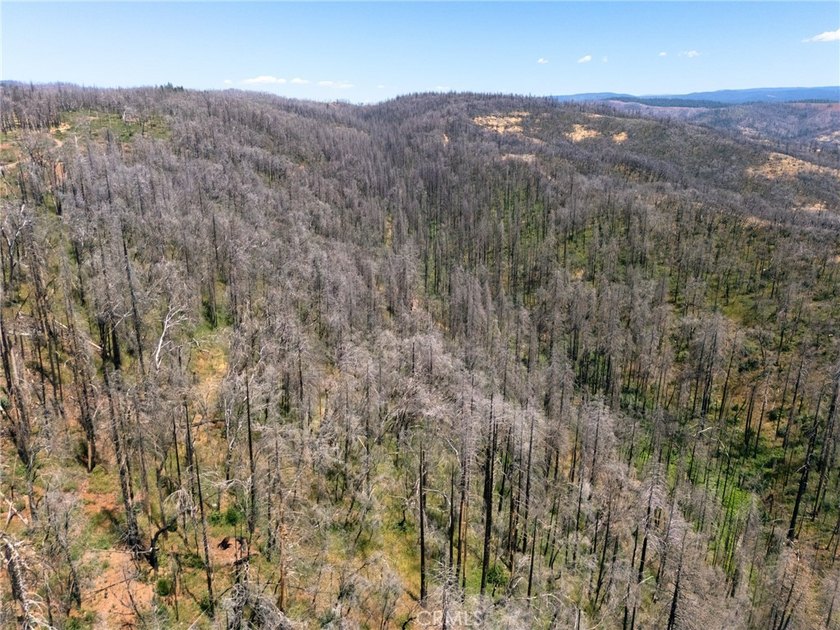 Spectacular mountain views, privacy, and endless possibilities - photo 12