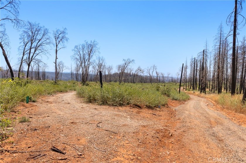 Spectacular mountain views, privacy, and endless possibilities - photo 13