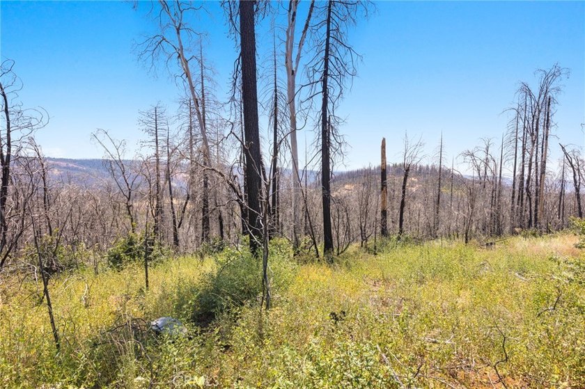 Spectacular mountain views, privacy, and endless possibilities - photo 24