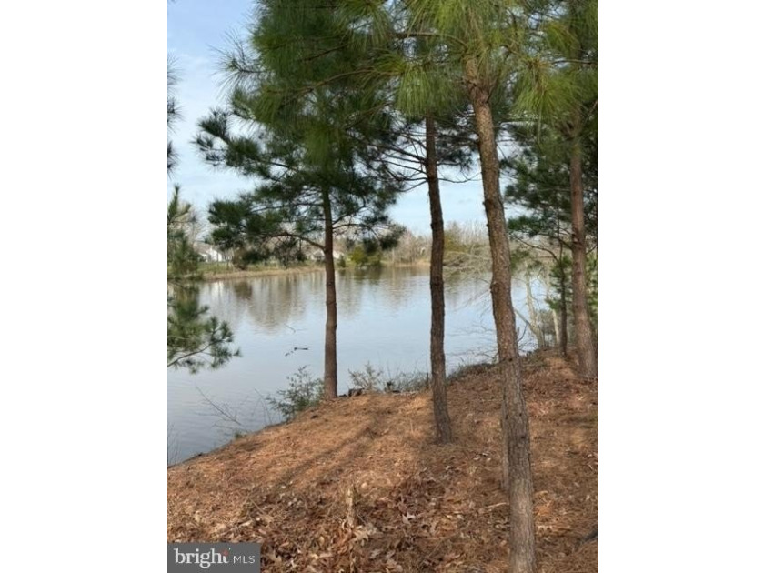 Last Waterfront buildable lot with brand new Dock in Easton Club - photo 5
