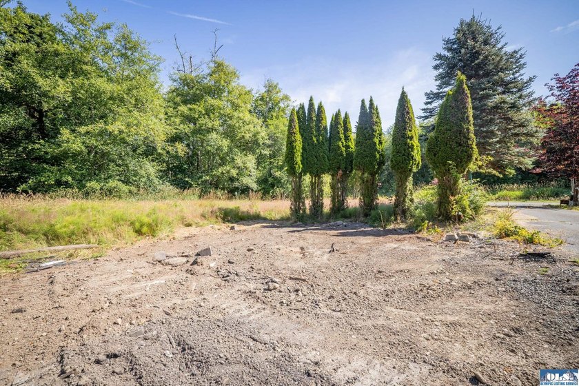 Nearly 5 flat acres just ~500 feet from the Olympic Discovery - photo 11