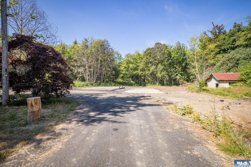 Nearly 5 flat acres just ~500 feet from the Olympic Discovery - photo 12