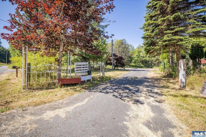 Nearly 5 flat acres just ~500 feet from the Olympic Discovery - photo 13