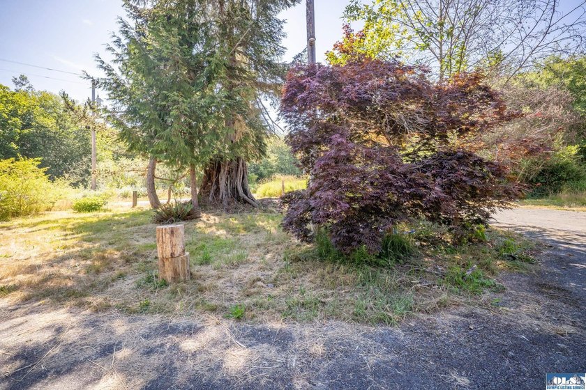 Nearly 5 flat acres just ~500 feet from the Olympic Discovery - photo 14