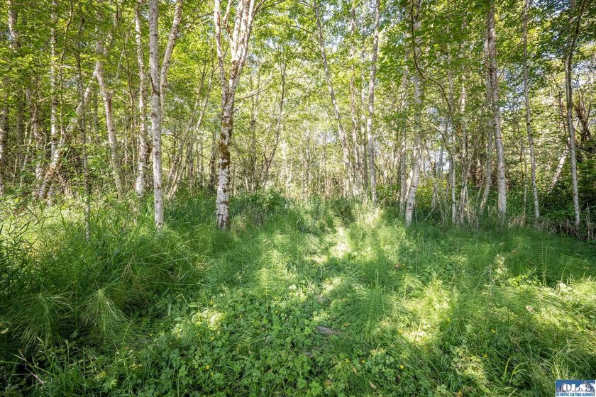 Nearly 5 flat acres just ~500 feet from the Olympic Discovery - photo 17