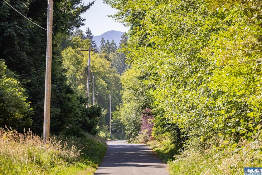 Nearly 5 flat acres just ~500 feet from the Olympic Discovery - photo 22