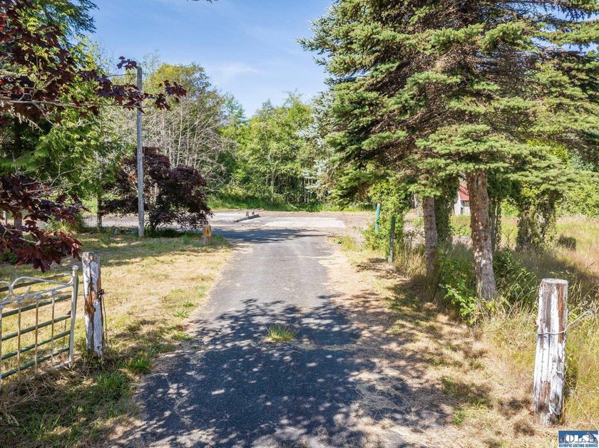 Nearly 5 flat acres just ~500 feet from the Olympic Discovery - photo 23