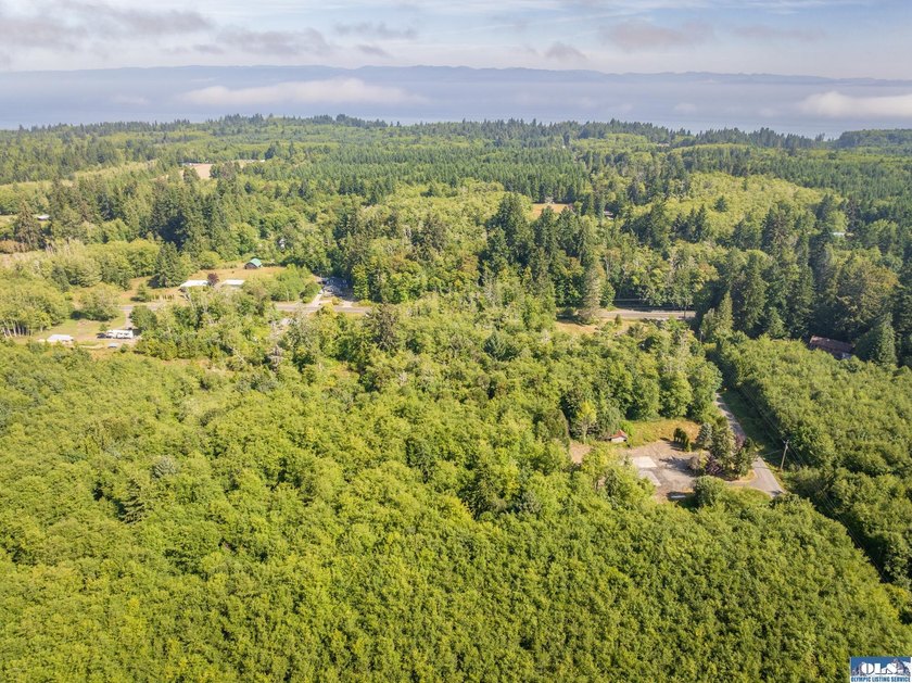 Nearly 5 flat acres just ~500 feet from the Olympic Discovery - photo 29