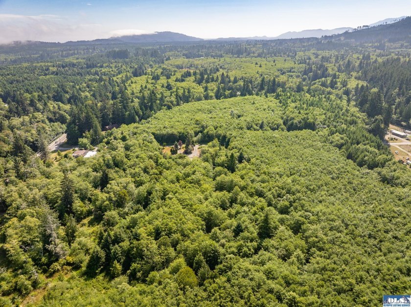 Nearly 5 flat acres just ~500 feet from the Olympic Discovery - photo 30