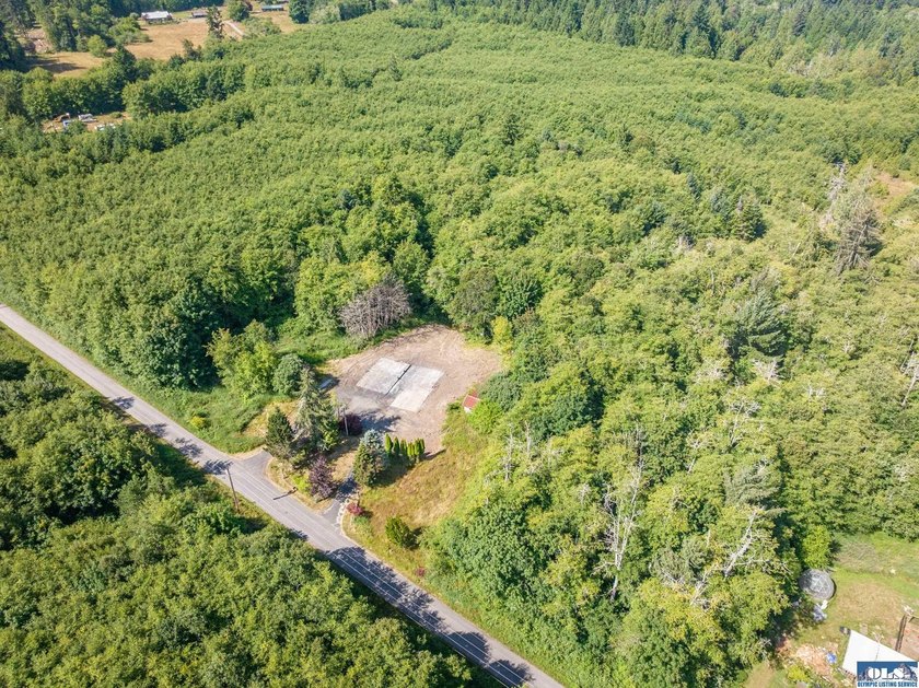 Nearly 5 flat acres just ~500 feet from the Olympic Discovery - photo 32