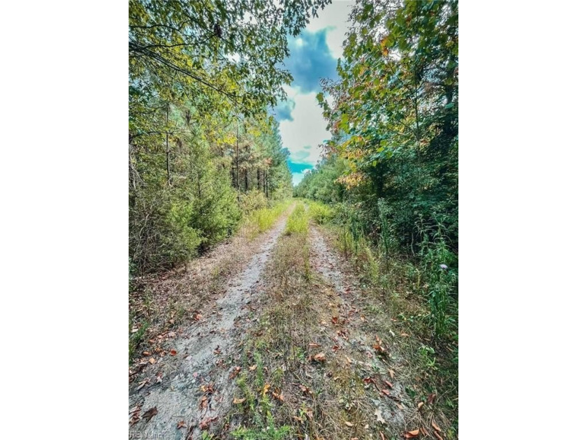 Prime commercial opportunity on a high-visibility corner in - photo 2