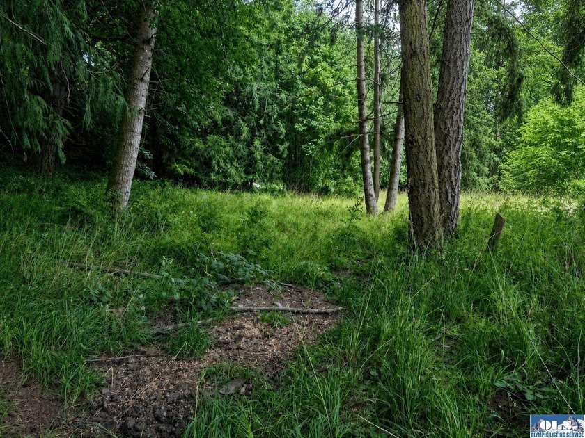 Tucked among mature trees and lovingly maintained, this inviting - photo 28