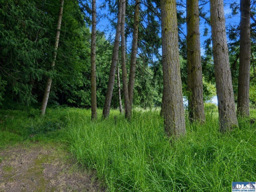 Tucked among mature trees and lovingly maintained, this inviting - photo 29
