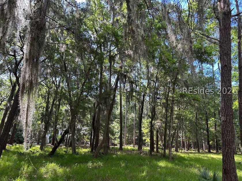 Highlighted by large Oaks and overlooking Lake Best in Melrose - photo 2