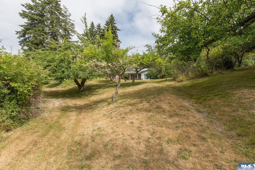 Opportunity awaits on 2.15 acres within the city limits! - photo 36