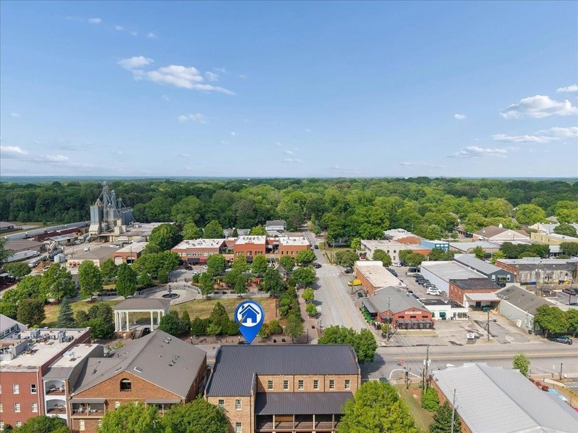 Charming downtown Madison condo located directly across from - photo 22